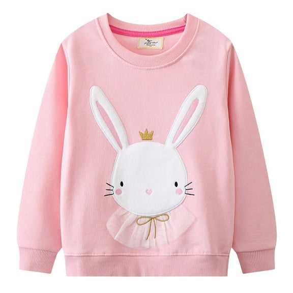 Huesdet Toddler Boys Girls Crewneck Sweatshirt Cute Printed Long Sleeve Pullover Shirt Sweater Tops(Pink,5-6 Years)