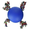 thumbnail image 1 of Hueter Toledo Soft Flex The Tuggy Dog Toy Blue 6.5" x 6.5" x 5.5", 1 of 2