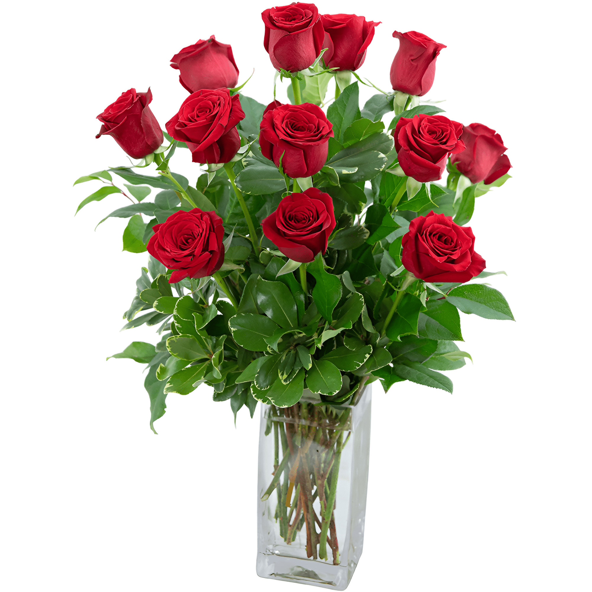 Huff's Flowers Classic Dozen Red Roses