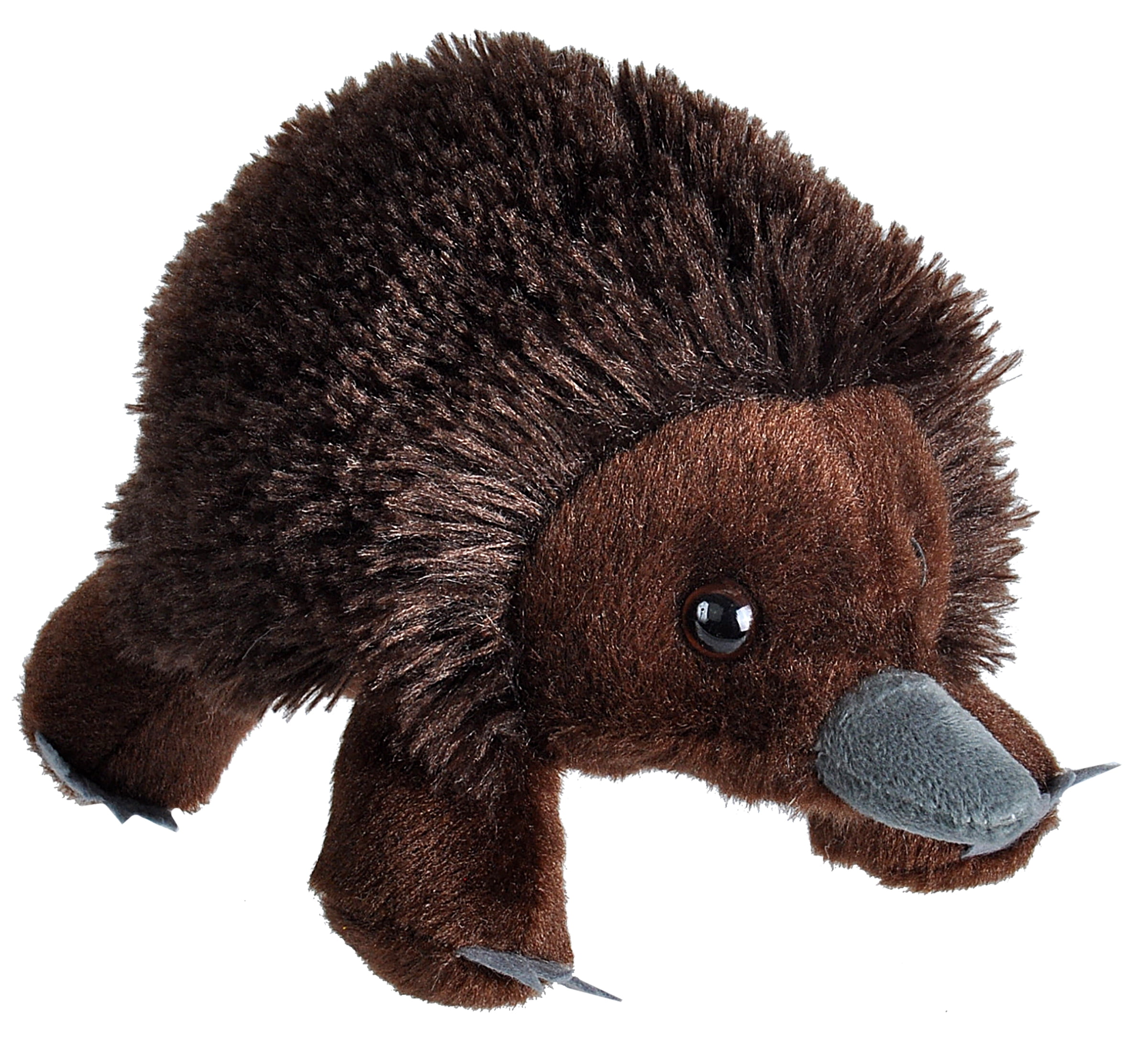 Wild Republic Hug'ems Mini Echidna, Stuffed Animal, 7 Inches, Plush Toy, Fill is Spun Recycled Water Bottles