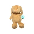 thumbnail image 1 of Hug Me Brown Easter Bunny Plush 13", 1 of 4