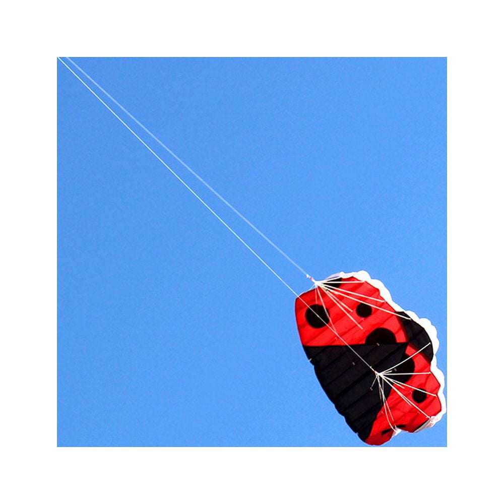 Huge Outdoor Fun Sports Two-Line Software L-adybug K-ite Animal Kites ...