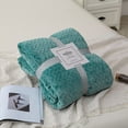 thumbnail image 1 of Hugging For Sofas Lightweight Plush Blanket Soft And Beds Blankets Suitable Is Home Textiles Gift Giving Polyester Blanket,Green,Polyester, 1 of 7
