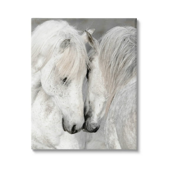 Hugging Horse Duo Wildlife Animals & Insects Photograph Gallery Wrapped Canvas Print Wall Art