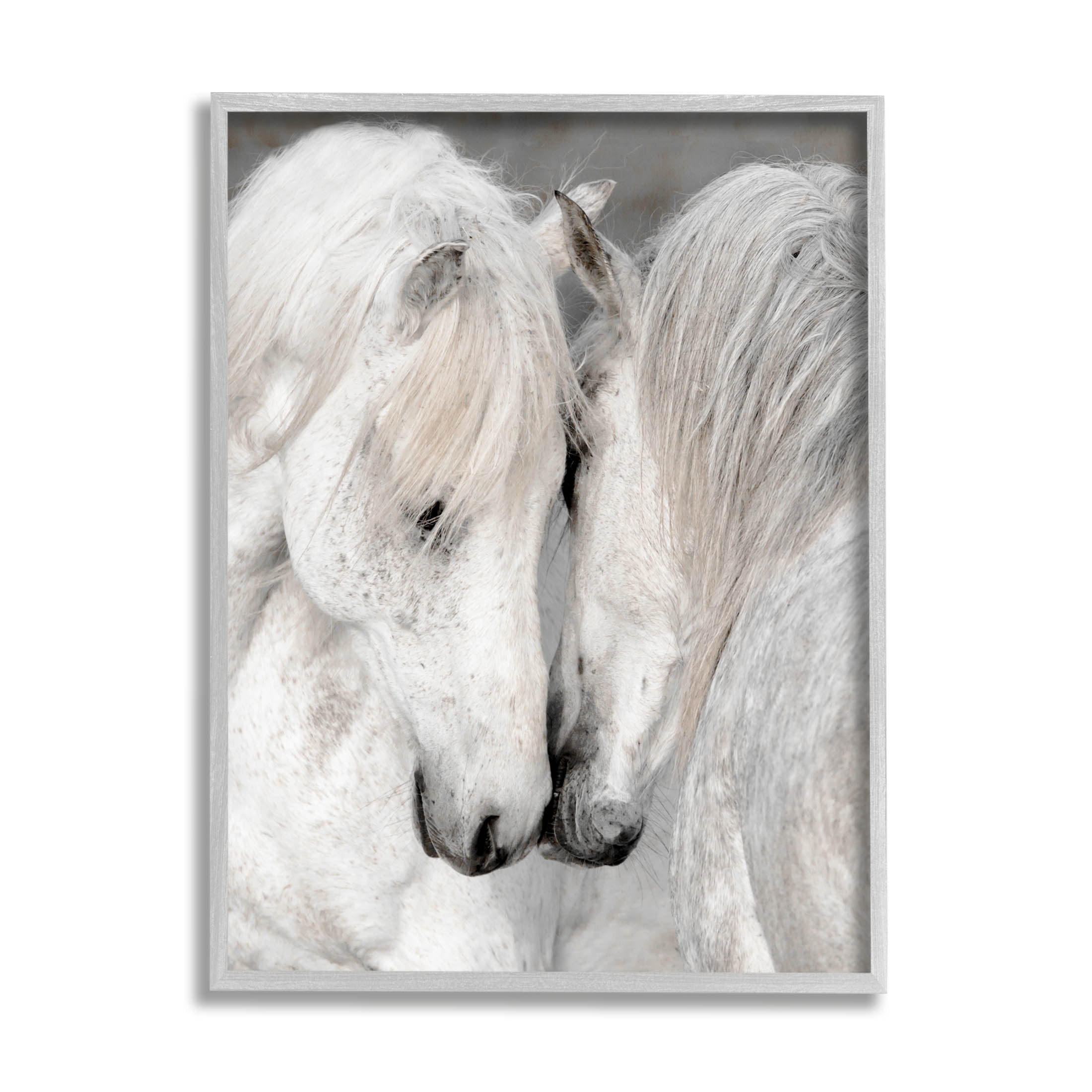 Hugging Horse Duo Wildlife Animals & Insects Photograph Gray Framed Art Print Wall Art
