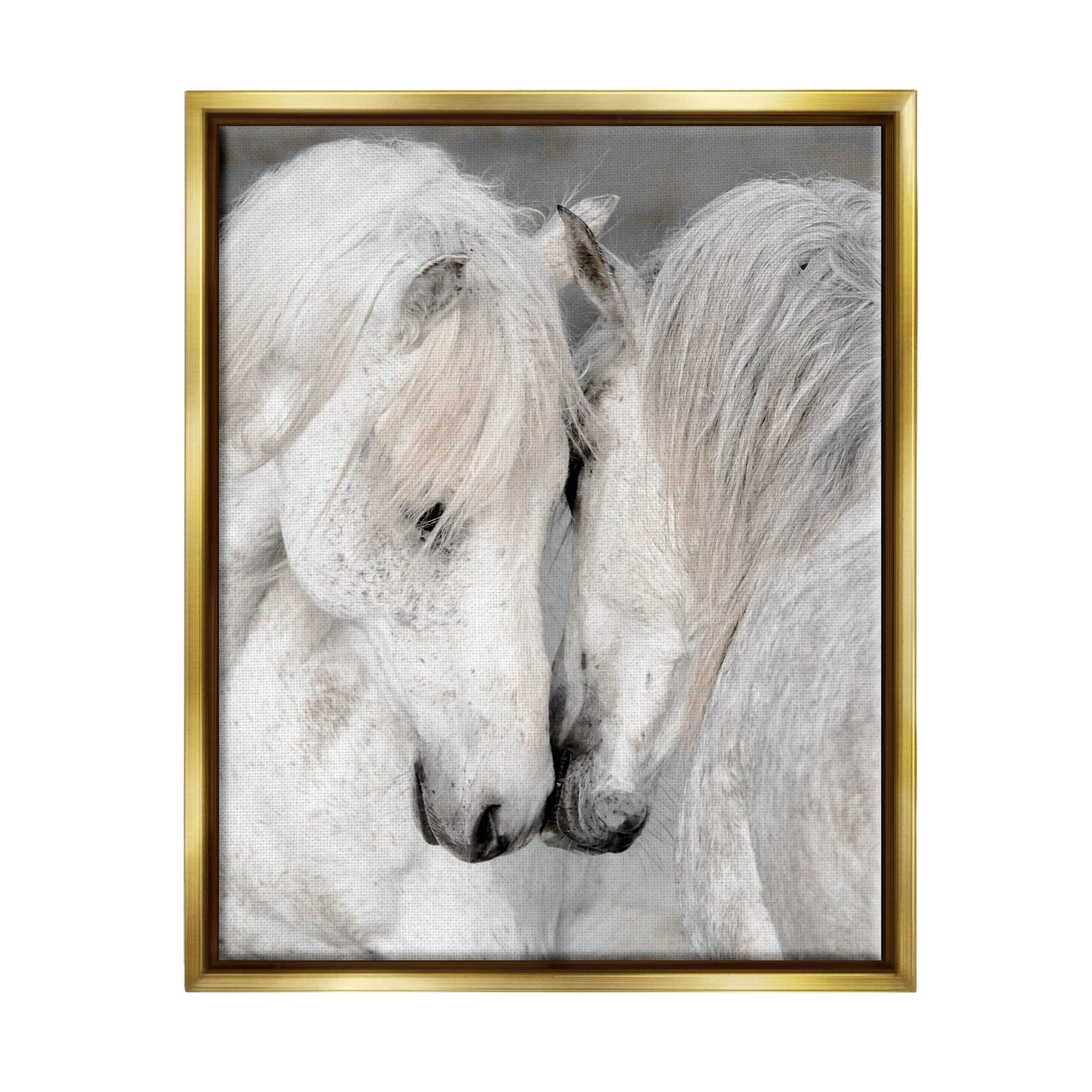 Hugging Horse Duo Wildlife Animals & Insects Photograph Metallic Gold Framed Art Print Wall Art