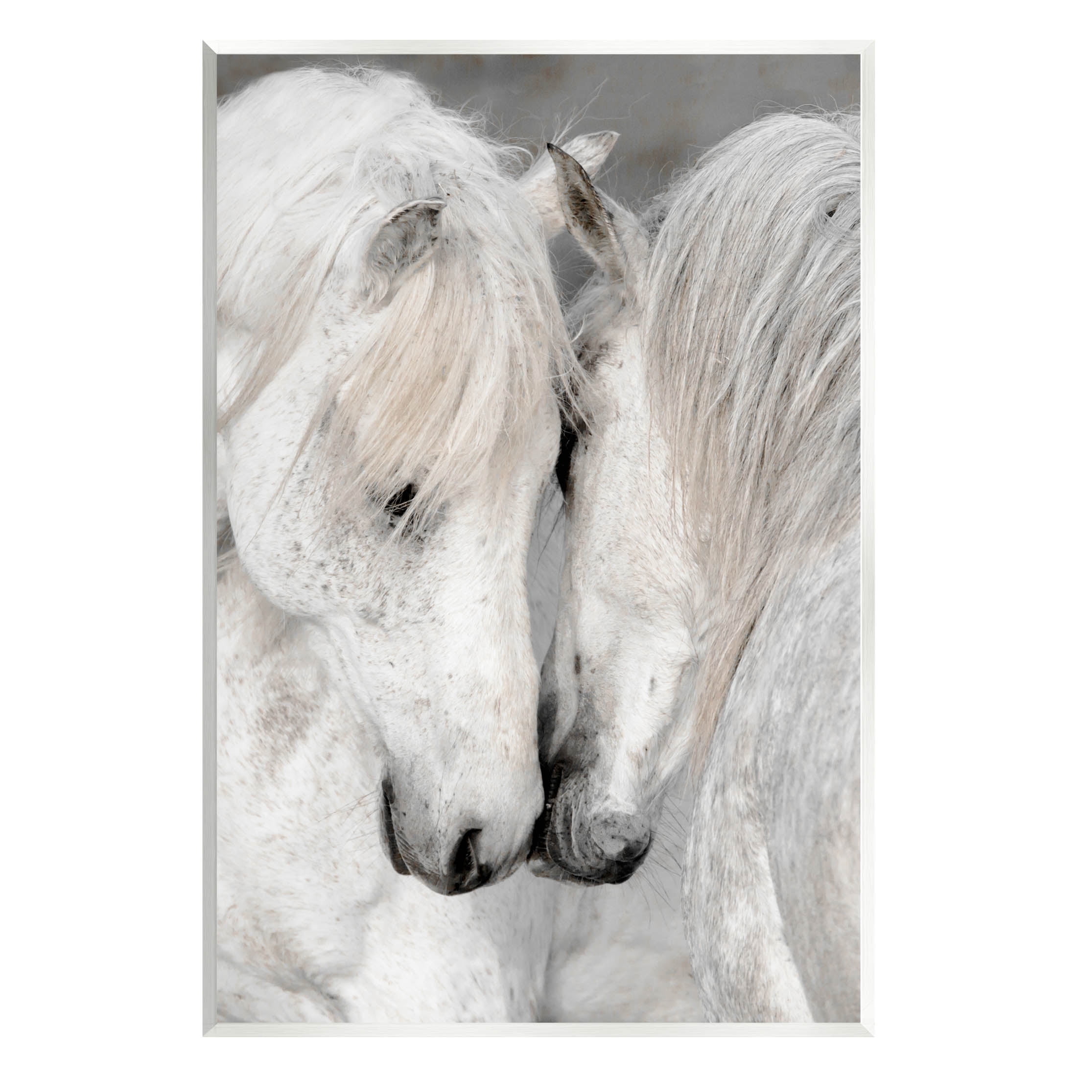 Hugging Horse Duo Wildlife Animals & Insects Photograph Unframed Art Print Wall Art