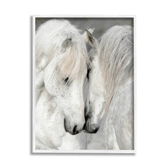 Hugging Horse Duo Wildlife Animals & Insects Photograph White Framed Art Print Wall Art