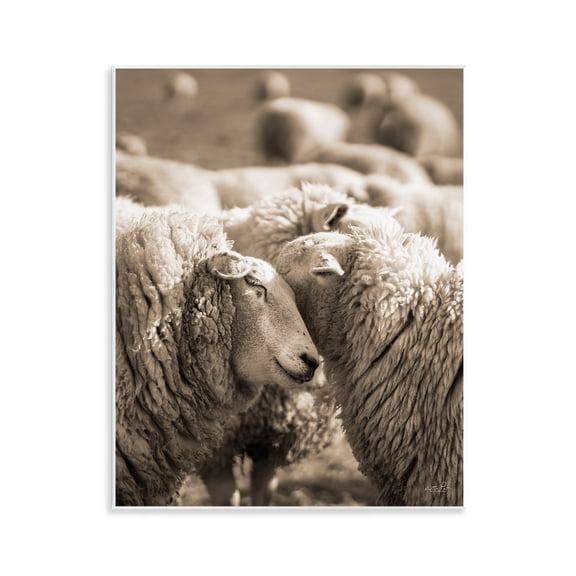 Stupell Industries Hugging Sheep in Flock Wall Plaque Art, design by Martin Podt
