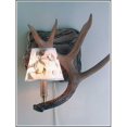 thumbnail image 1 of Hughes Collection HP-66596 Whitetail Antler Wall Sconce Right, 1 of 1