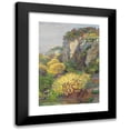 thumbnail image 1 of Hugo Charlemont 14x18 Black Modern Framed Museum Art Print Titled - Broom in Bloom on Brioni (1912), 1 of 5
