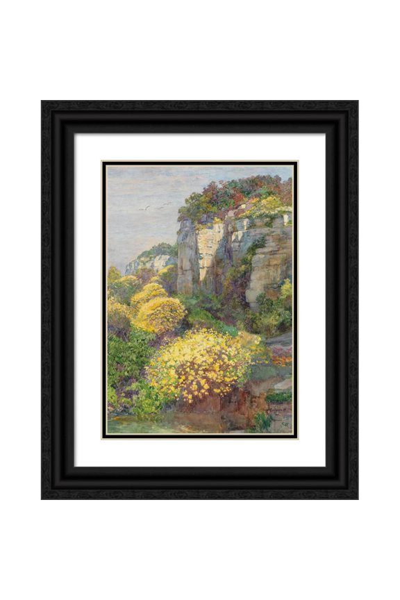 Hugo Charlemont 18x24 Black Ornate Framed Double Matted Museum Art Print Titled: Broom in Bloom on Brioni (1912)