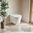 thumbnail image 1 of Hugo H Wall-Hung Toilet in Glossy White with Supporting Frame, 1 of 13