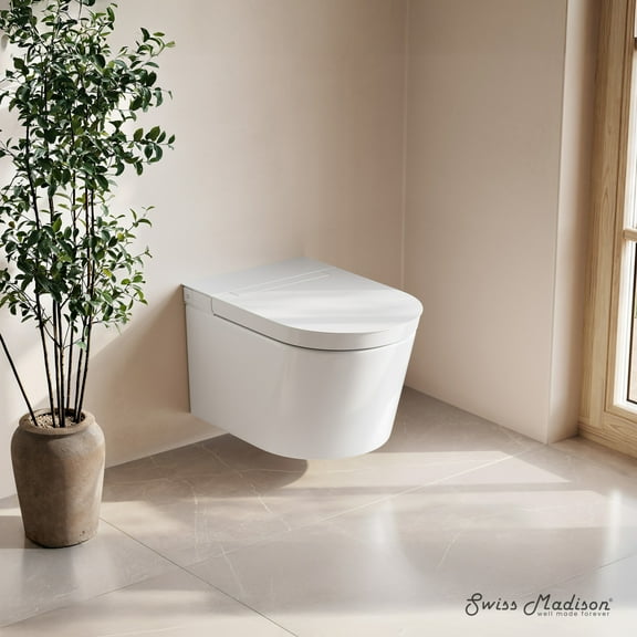 Hugo H Wall-Hung Toilet in Glossy White with Supporting Frame
