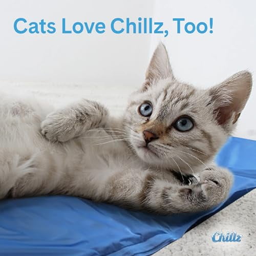 Hugs Pet Products Chillz Gel Mat, Large PressureActivated Cooling