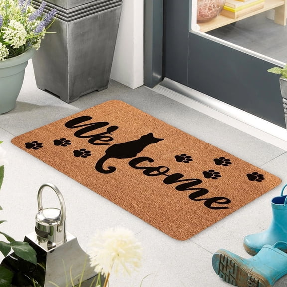 HuiXinOu Cat Doormat, Non-Slip Floor Mat 16x24 Inches, Cute Kitty Crystal Velvet Front Door Mat, Absorbent Waterproof Entryway Rug for Bathroom Kitchen