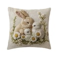 thumbnail image 1 of HuiXinOu Easter Pillowcase 17.71 Inch Plush Horse Embroidered Decorative Pillow Cover for Sofa Bedroom Living Room Home Decor, 1 of 6
