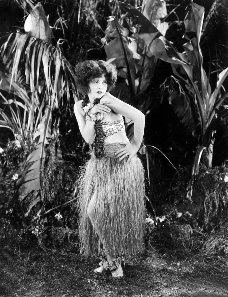 Hula Canvas Art - (16 x 20)