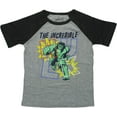 thumbnail image 1 of Hulk Incredible Punch Raglan Youth T-Shirt, 1 of 1