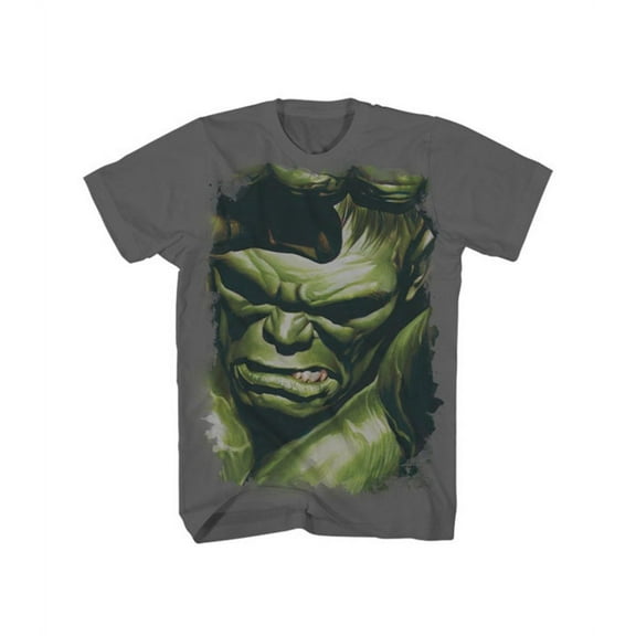 Hulk (Marvel Comics) Mens T-Shirt - Giant Serious Grimmace Face (Large)