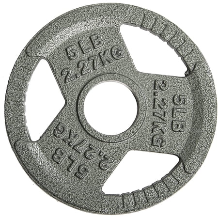 HulkFit 2-inch Iron Plate for Strength Training, Weightlifting, Single (5 Pounds), Silver