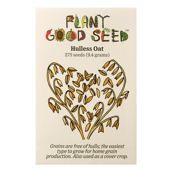 Plant Good Seed Hulless Oat Seeds for Planting: Organic Grain, 275 Seed Packet