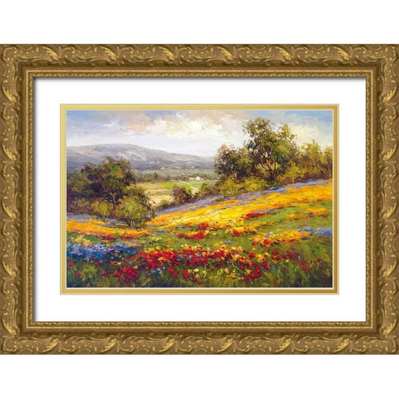 Hulsey 24x17 Gold Ornate Wood Framed with Double Matting Museum Art Print Titled - Campo Di Fiore I