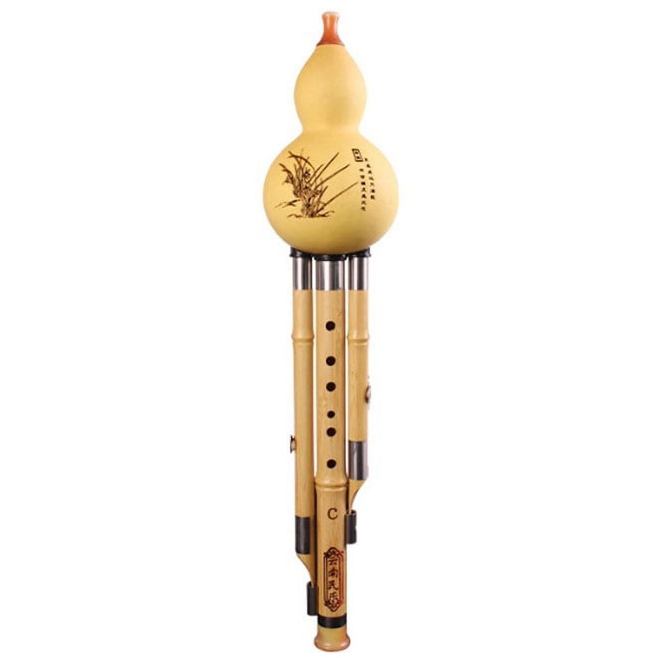 Hulusi Bamboo Pumpkin Flute Ethnic Musical Instrument for Beginners Music Lovers
