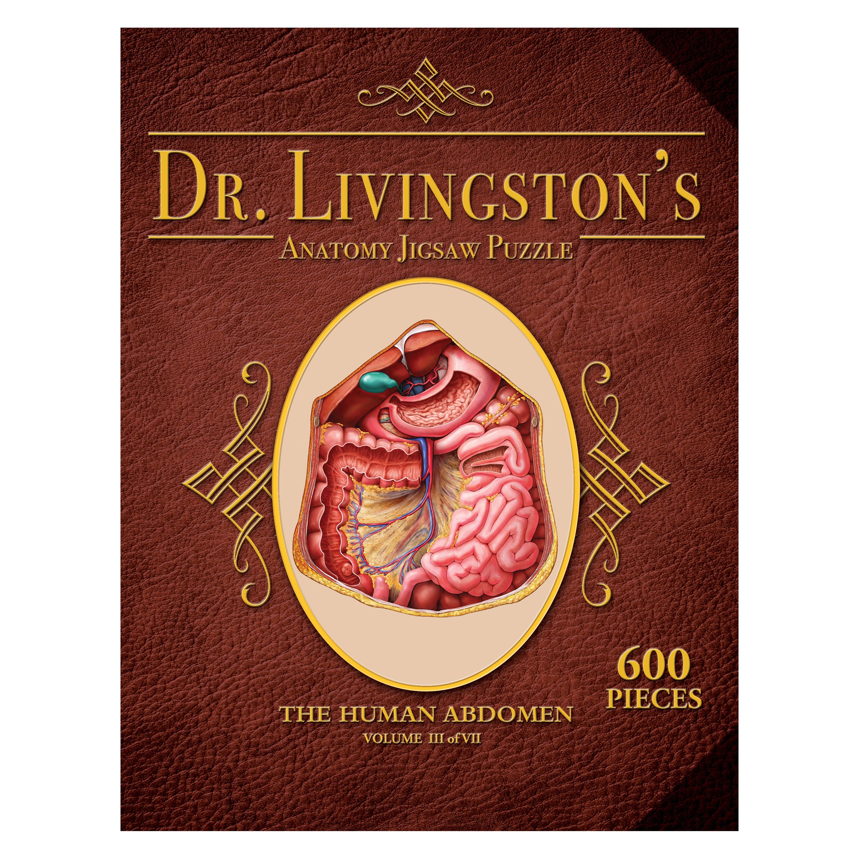 Human Abdomen Anatomy Jigsaw Puzzle | Dr Livingston's Unique Shaped Science Puzzles, Accurate Medical Illustrations of the Body, Organs, Stomach, Liver and Intestines