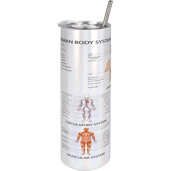 Human Anatomy 20 Oz Skinny Tumbler, Chart of Organs Body Structures Biology Themed Cartoon Schemes, Leak-Proof Straw Lid and Brush Vacuum Insulated for Outdoor Use, White Multicolor