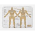 thumbnail image 1 of Human Anatomy Bath Mat, Diagram of Human Skeleton System with Titled Main Parts of Body Joints Picture, Non-Slip Plush Mat Bathroom Kitchen Laundry Room Decor, 29.5 X 17.5 Inches, White Tan, Ambesonne, 1 of 2