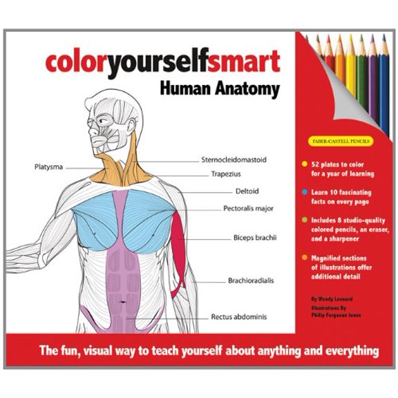 Pre-Owned Color Yourself Smart: Human Anatomy (Hardcover) 160710217X 9781607102175