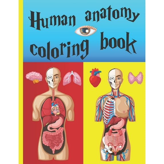 Human Anatomy Coloring Book: A good and easy way to understand anatomy