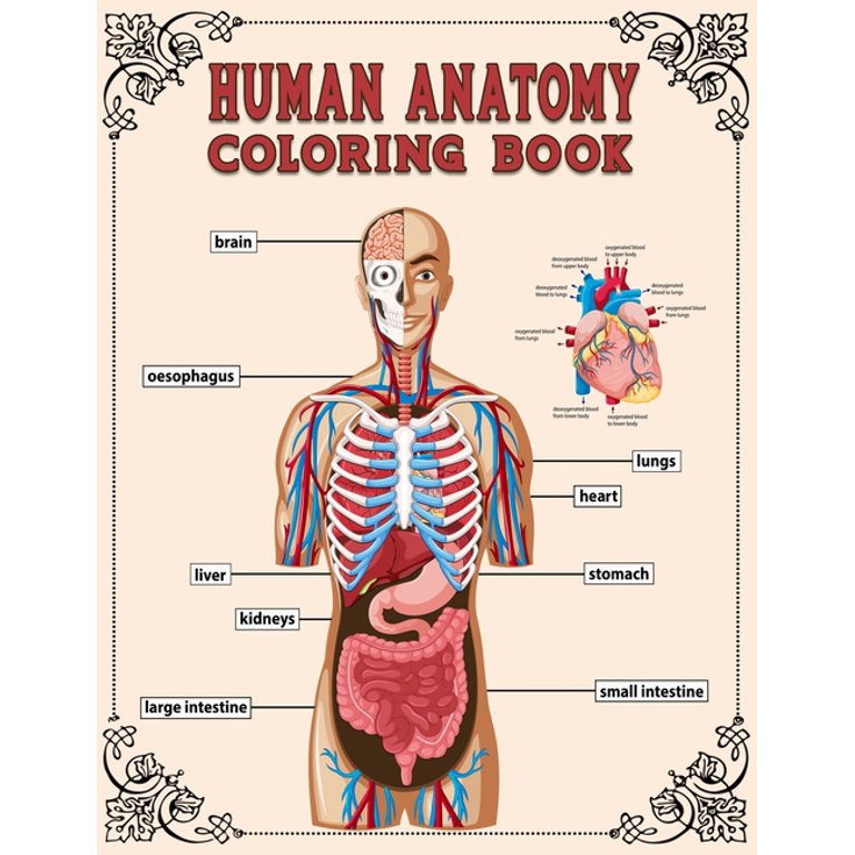 Anatomy & Physiology Coloring Book