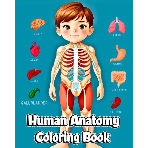 Human Anatomy Coloring Book: Educational Coloring Pages of Organs, Cells, Skeleton for Boys & Girls (Paperback)