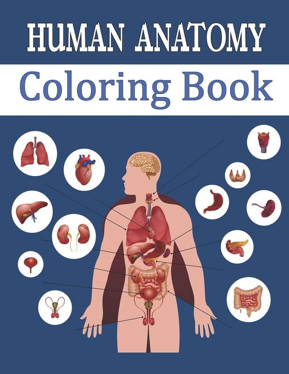 Human Anatomy Coloring Book: Entertaining and Instructive Guide to Body ...