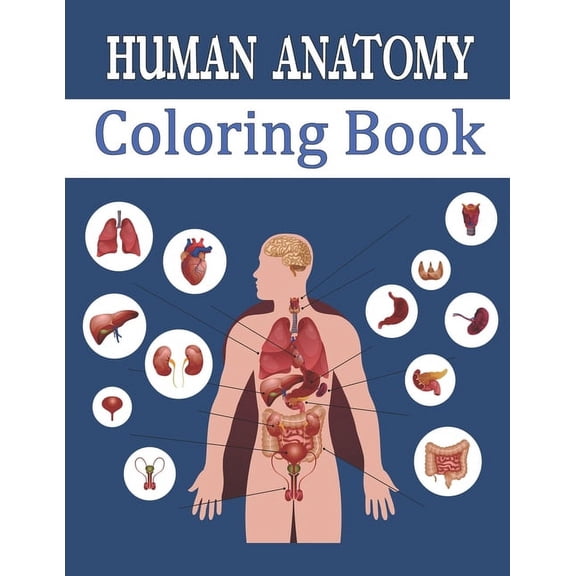 Human Anatomy Coloring Book: Entertaining and Instructive Guide to Body - Bones, Muscles, Blood, Nerves (Paperback)