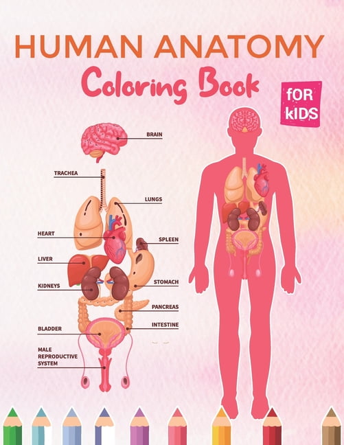 I Know My Body. Do You? Anatomy For Kids Coloring Books