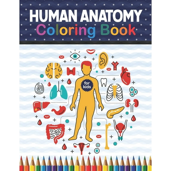 Human Anatomy Coloring Book For Kids