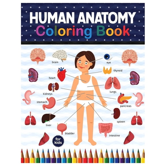 Human Anatomy Coloring Book For Kids: Human Body Anatomy Coloring Book For Boys and Girls and (Paperback) by Shirkaylene Publication