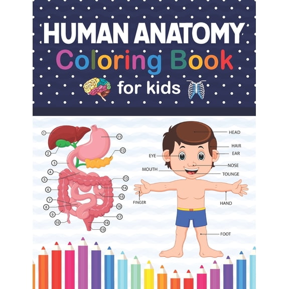 Human Anatomy Coloring Book For Kids: Human Body Anatomy Coloring Book For Kids Ages 4, 5, 6, 7, and 8 Years Old. A Help