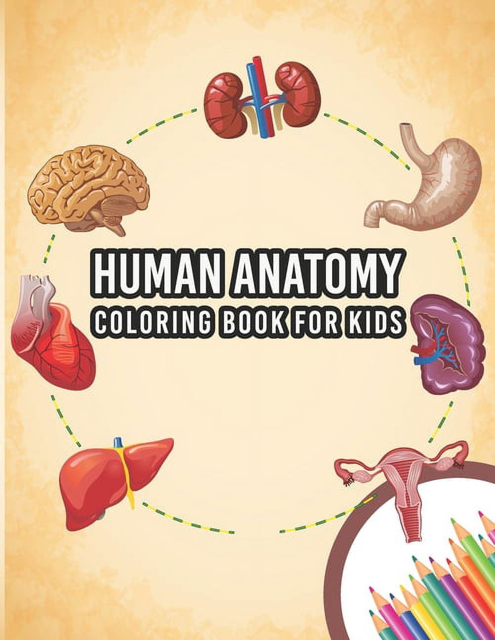 Human Anatomy Coloring Book For Kids: My First Human Body Parts And ...