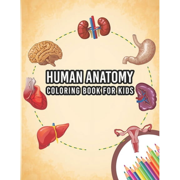 Human Anatomy Coloring Book For Kids: My First Human Body Parts And Human Anatomy Entertaining And Instructive Guide For, (Paperback)