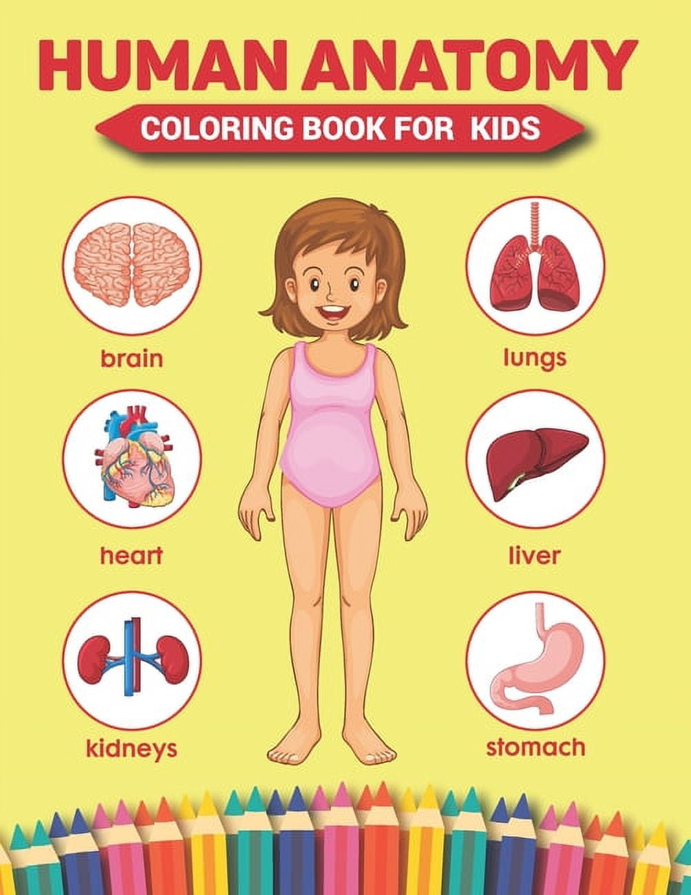 BEST VALUE My First Anatomy Coloring Book Educational Human Anatomy  Printable Activity Book for Preschools and Toddlers Instant Download 
