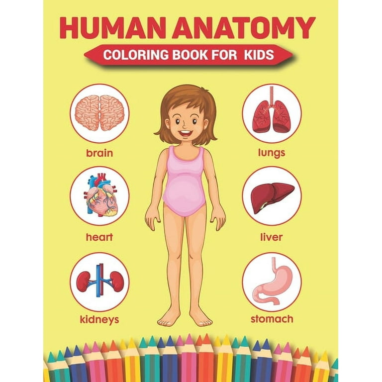 Human Anatomy Coloring Book For Kids: Over 50 Human Body Coloring Sheets Great Gift for Boys & Girls, Hands-On Fun for Grades K-3, Ages 4, 5, 6, 7, Years Old Coloring Books for Kids Ages 4-8 [Book]