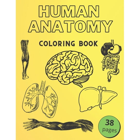 Human Anatomy Coloring Book: Informative Guide To The Human Body (internal organs the nervous system, reproductive systems and limbs) For Kids (Paperback)