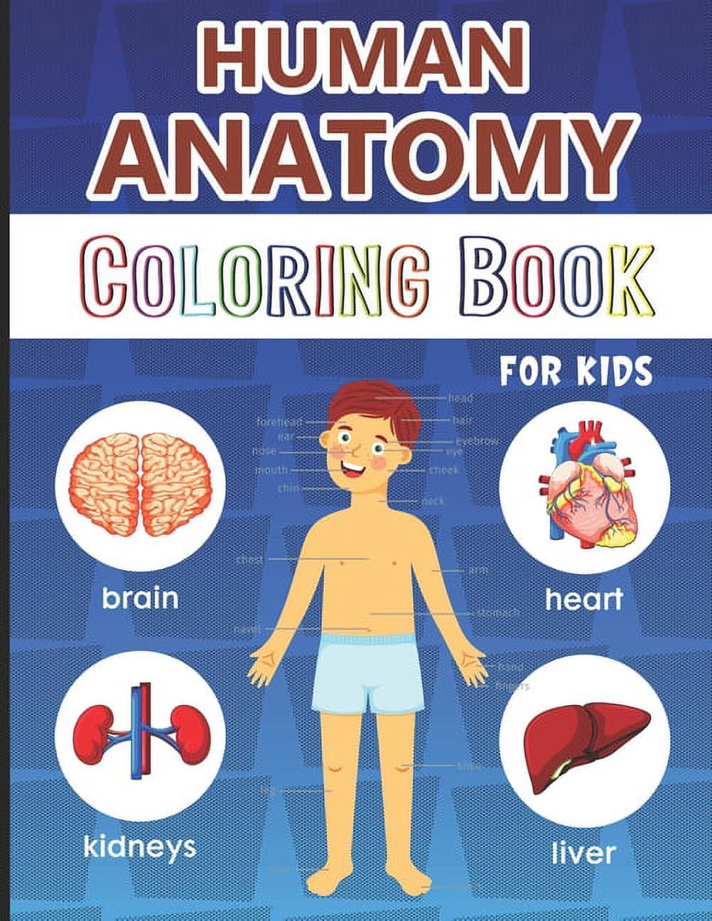 PHYSIOLOGY FOR CHILDREN Human Anatomy Coloring Book for Kids: Over 50 Human Body Coloring Pages, Great Gift for Boys & Girls, Ages 4, 5, 6, 7, and 8 Years Old (Coloring Books for Kids Ages 4-8), Kids First Anatomy Coloring B