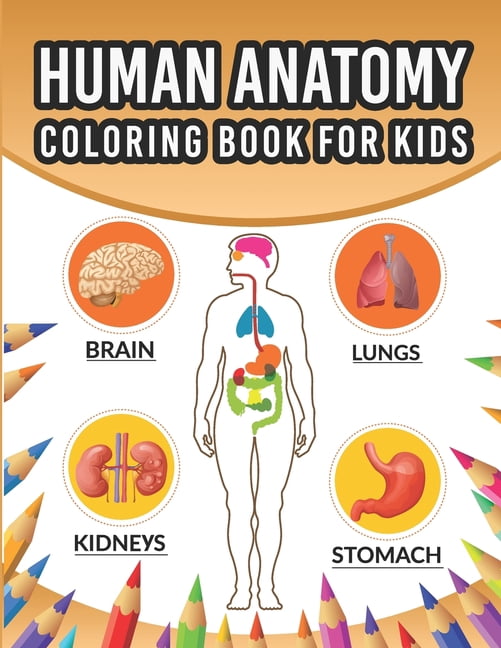 Human Anatomy Coloring Book For Kids: An Entertaining And Instructive ...