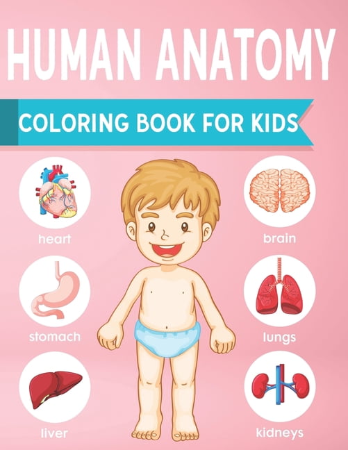 Human Anatomy Coloring Book For Kids: an Entertaining and Instructive ...