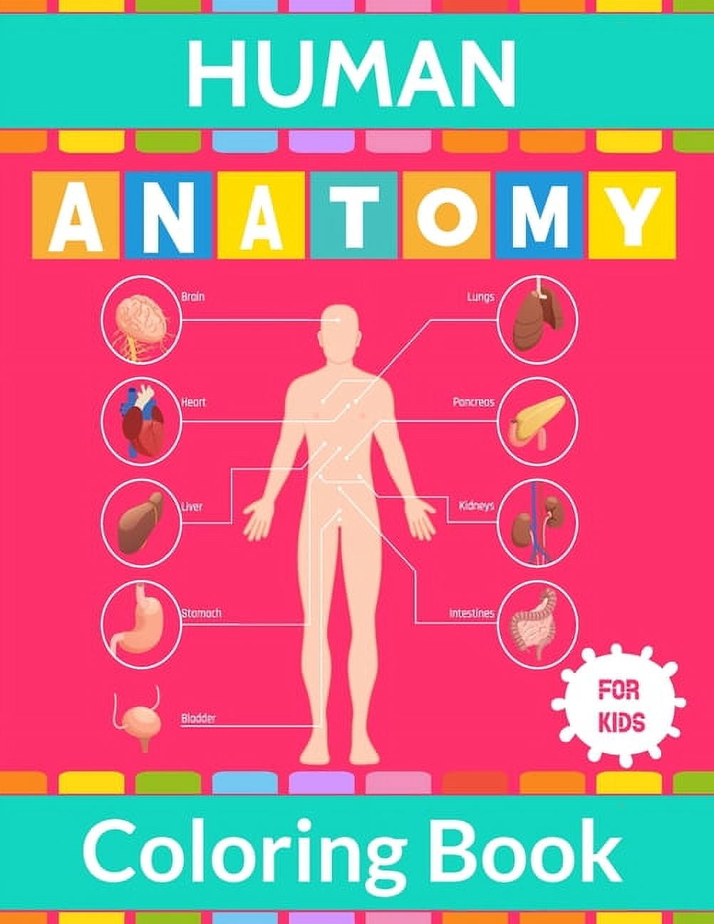 Human Anatomy Coloring Book For Kids: Human Body Anatomy Coloring ...